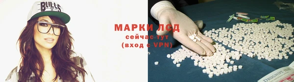 стаф Белокуриха