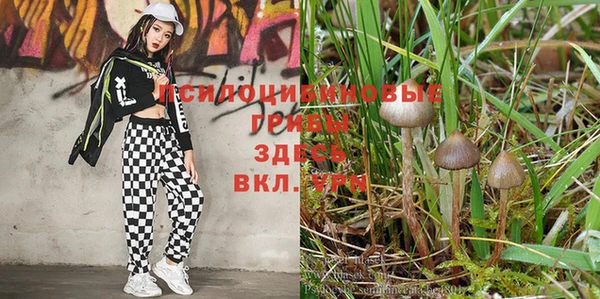 мдпв Балахна