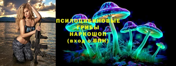 шишки Беломорск