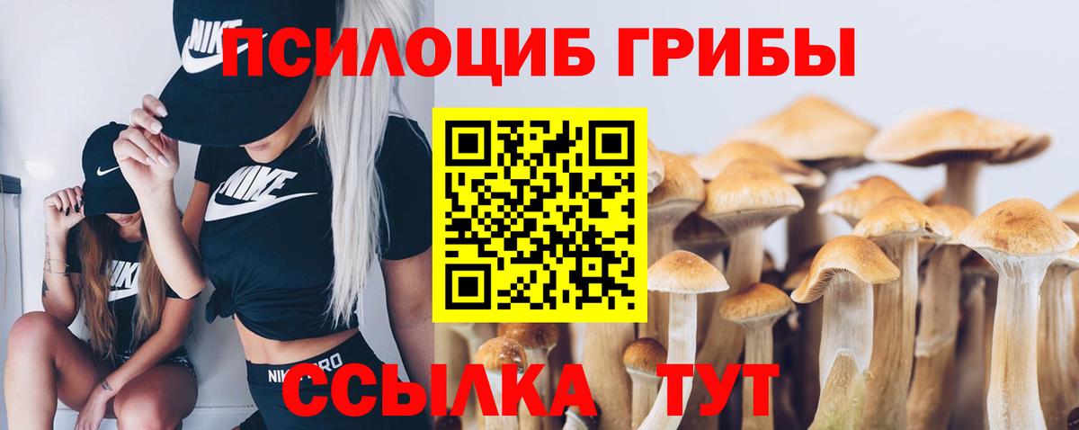 Пятигорск  Псилоцибиновые грибы Psilocybe  Вход с VPN 
